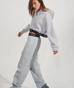 EVERYDAY ESSENTIALS Afends Womens Homebase - Hemp Cropped Hoodie - Shadow Grey Marle